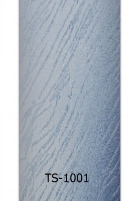 ts-1001