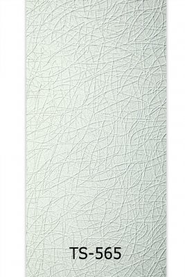 ts-565