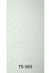 ts-565