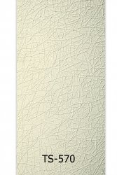 ts-570