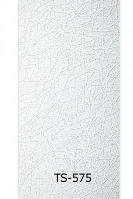 ts-575