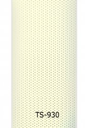 ts-930