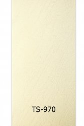 ts-970