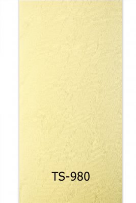 ts-980