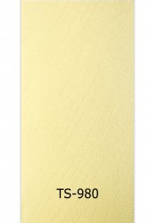 ts-980